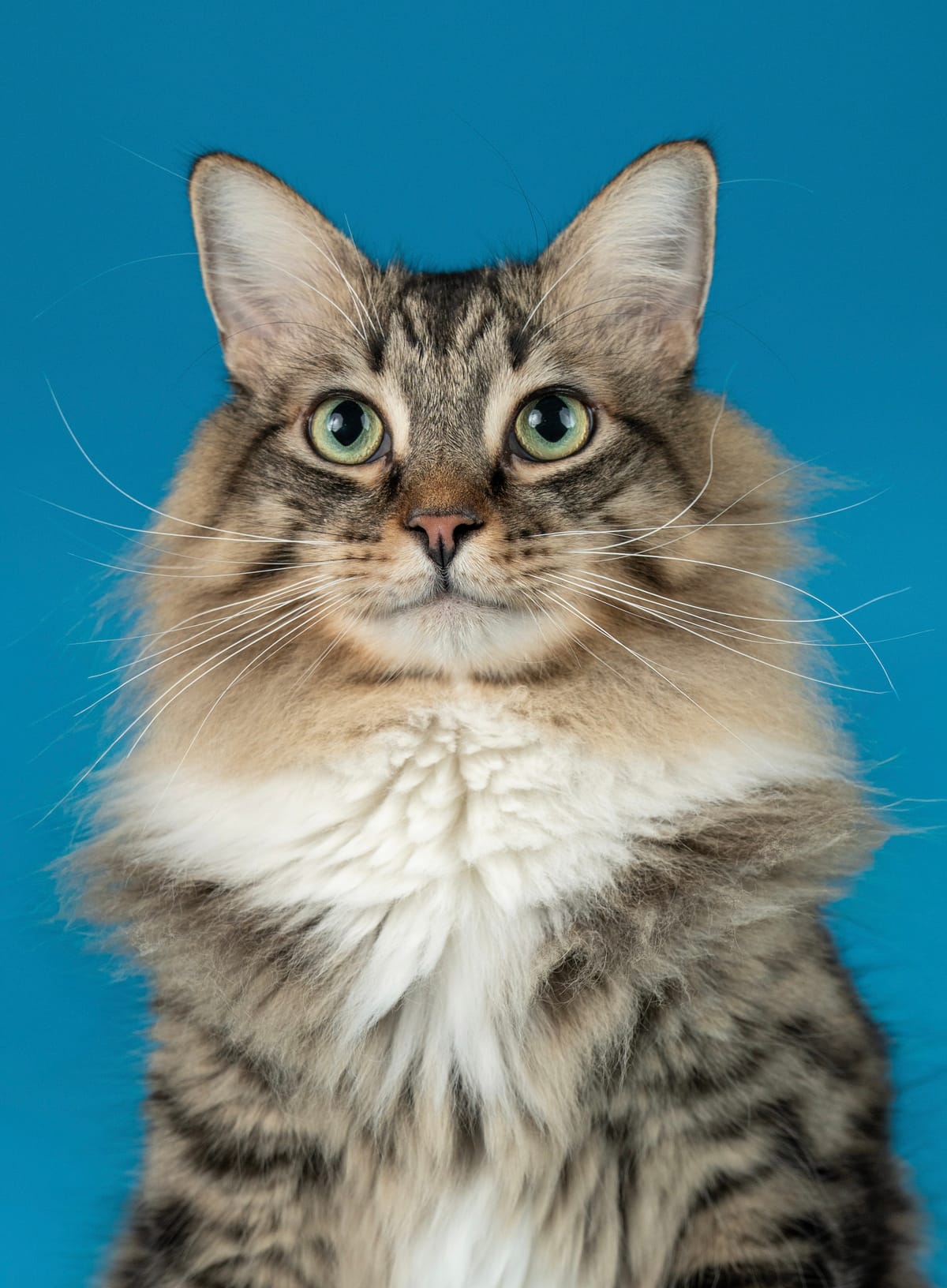 Signature Portrait Experience